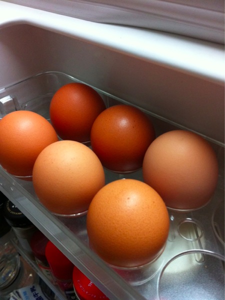 卵は常備